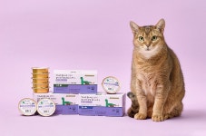 대상펫라이프 닥터뉴토, 올라이즈 고양이 습식 간식 한입 쏘옥 미니캔 출시