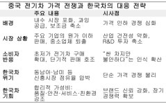 [중국 전기차 질주] ② 가격 전쟁의 그늘, 한국차의 가성비 전략 가능할까