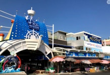 여수시, 여수수산시장·여수수산물특화시장 2곳 온누리상품권 환급 행사 실시