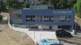 여수시, 2026년 길고양이 중성화수술 지원사업 시행