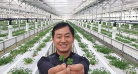 IMF때 쫄딱 망한 농부, 식용 네잎클로버로 글로벌 시장 똑똑