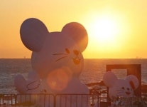 [김영회 칼럼] 역지사지의 여유