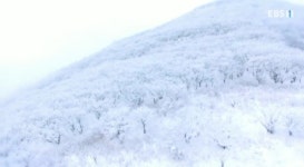 강원도 곰배령, 대체 어디? 이렇게 아름다운 곳이...