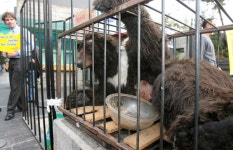 [정우현의 코인세상 뒤집어보기] 신 자유공간 메타버스, 다음 세대에겐 디지털 사육장?