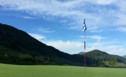 [단독] 골프장 거리두기, 오후에도 4인 플레이 가능