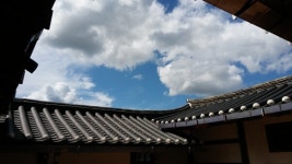 [송미옥 더봄] 비가 오면 생각나는 사람이 되어