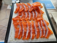 [김성주 더봄] 평창 송어의 원조 함씨 형제 이야기