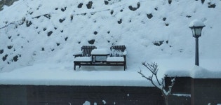 [송미옥 더봄 ] 어떤 요구도 그러자하는 친구가 있어 행복한 인생