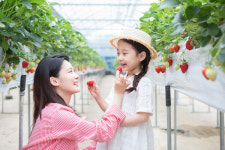 [김성주 더봄] 잘 되는 관광농원, 무엇이 다른가 봤더니