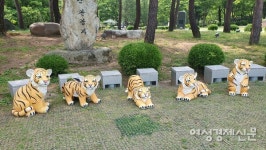 [박종섭 더봄] 시니어라서 가능···2만원으로 용문산서 하루 즐기기