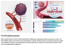 FDA 승인 확률 7.9%···간암 신약 개발 HLB에 관심 집중