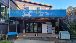 [김성주 더봄] 말 달리며 생태관광