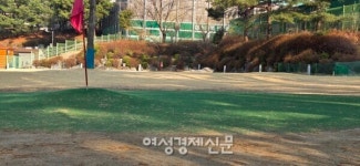[박종섭 더봄] 굿샷 ! 파크골프가 날로 인기를 끄는 이유