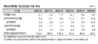 메리츠캐피탈,  모기업서 2차 긴급수혈...이번엔 홈플러스에 '발목'