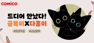 NHN 코미코, 웹툰 금복이 이야기에 다홍이 등장…유기동물 캠페인 전개