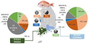 식약처, 주요 양식활어 유통경로 조사...82.8%가 유사도매시장에서 유통