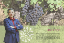 김영철 바인그룹 회장의 포도나무 이야기⑥100년 달력⋯1995-2094