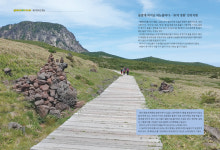 [글로벌e트래블] 제주 한라산 영실〈8〉 돌밭에 피어난 피눈물바다···神의 정원 선작지왓