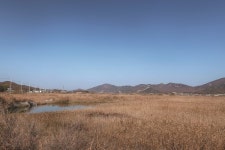 [당근여행] 강화 석모도⑱ 매음리, 불꽃 튀는 소리가 짜다