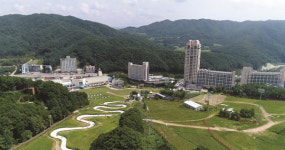 바람을 가른다···휘닉스 평창 루지랜드 오픈