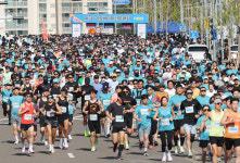 기장 바닷바람 가른 1만 러너···7회 기장바다마라톤