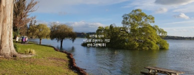 환경부, 자연환경 복원기업에 실적 인정···ESG 활성화
