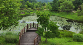 여주, 갈피를 꽂고 추억할 오늘···황후의 집에서 황학산수목원으로, 남한강출렁다리 건너 신륵사까지···화곡3동워크숍