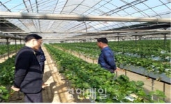 인천시, 코로나19 극복 지역농산물 팔아주기 나섰다