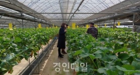 인천병무지청, 어려워진 지역농가 돕기 동참