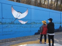 광명7동, 걷고 싶은 마을 조성