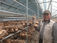 양주시, 표고버섯 농가 스마트팜 생육모델 보급 나서