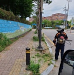안산시 본오1동, 잡초 제거로 쾌적한 환경조성