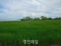 인천 계양구, 농지원부 일제정비 추진