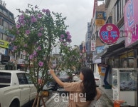 인천 남동구, 광복절 맞아 구월동 문화로89번길 무궁화 가로수길 조성
