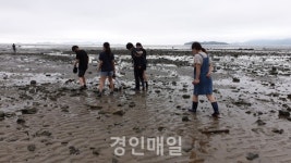 인천시학생교육원 해양환경체험학습장, 해양환경·생태 체험 프로그램 진행