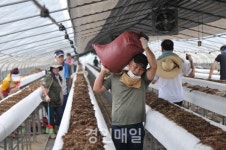 미래통합당 인천시당 당원, 충남 수해복구 현장 찾아 구슬땀