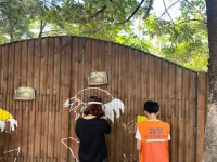 양주시자원봉사센터, 함께 그리는 행복마을 벽화 그리기 봉사활동 실시