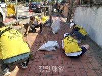 푸르미가족봉사단, 도로 환경 정비 자원봉사