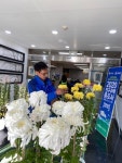 대화면 신1리 전오현씨, 대화면사무소에 직접 키운 국화꽃 기증!