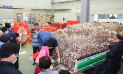 단양군, 단양마늘 팔아주기 운동 농가에 큰 힘
