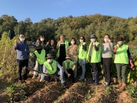 안산시 초지동 지역사회보장협의체, 주말농장 사랑 나눔 고구마 수확으로 구슬땀 흘려