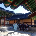 평창향교 및 경순왕숭인대제위원회, 경순대왕 숭인대제 봉행