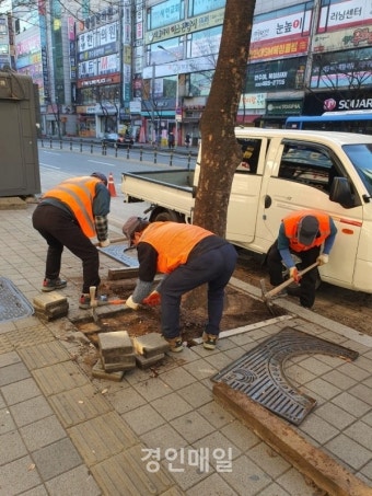 인천 남동구, 안전한 보행환경 조성 위한 가로수 길 정비 추진