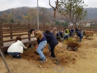 용인시, 이동읍 용덕저수지 일원 나무 9000그루 심기 행사