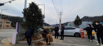 용평면사무소, 기증받은 금송으로 청사 업그레이드