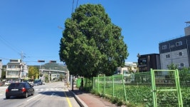 안양시, 석수1동 삼막1교 주변 도로확장 준공 지역주민 안전한 보행환경에 교통편의까지