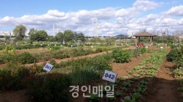 남동구, 19일까지 공공주말농장 분양 신청 접수
