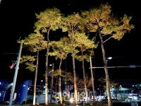 인천 동구, 송림오거리 교차로 교통섬 야간경관조명 설치