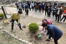 시흥시 정왕2동, 군자천 수변산책로 환경개선