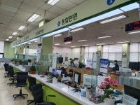 김포시 장기본동행정복지센터, 봄맞이 사무실 꽃단장